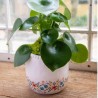 Übertopf Terra Cotta cream floral border XL- SALe