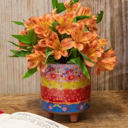 Blumenübertopf Artisan Planter bright border