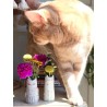 Vase Cutest Little Bud Cat grey