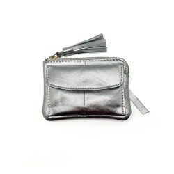Portemonnaie Mini Zip Cardholder Metallic silver
