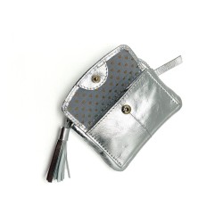 Portemonnaie Mini Zip Cardholder Metallic silver
