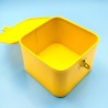 Box Limoncello