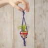 Mini Macramé Succulent