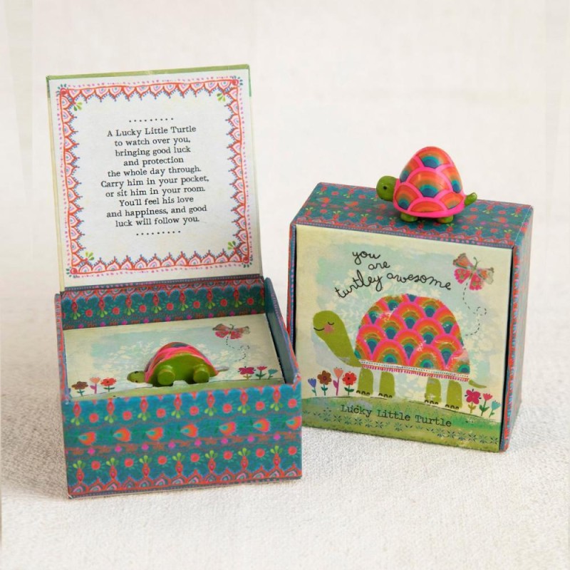 Lucky charm in a box Turtle