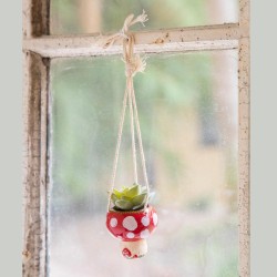 Hanging Mini Succulente Mushroom/Pilz