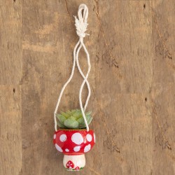 Hanging Mini Succulente Mushroom/Pilz