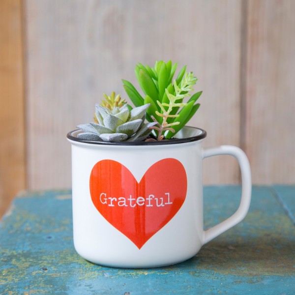 Tasse Kaktus 2in1 Set Gratitude