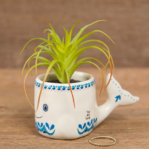 Vase Critter Sukkulent Whale