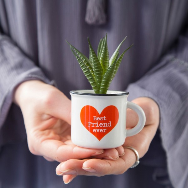 Tasse Kaktus 2in1 Mini Set Best Friend