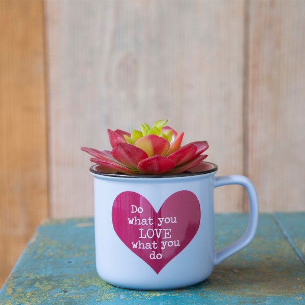 Tasse Kaktus 2in1 Set Do Love