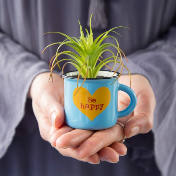 Tasse Kaktus 2in1 Mini Set Be Happy