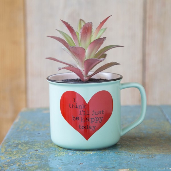 Tasse Kaktus 2in1 Set Just Be Happy