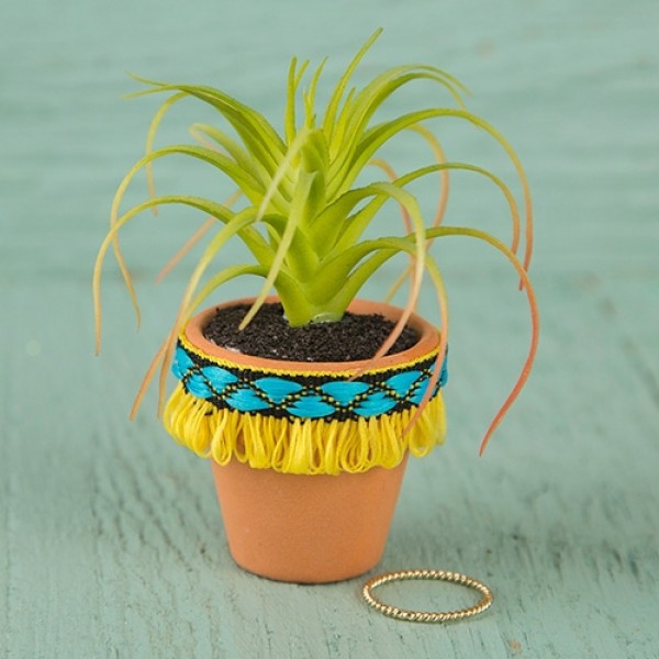 Succulent Yellow Fringe