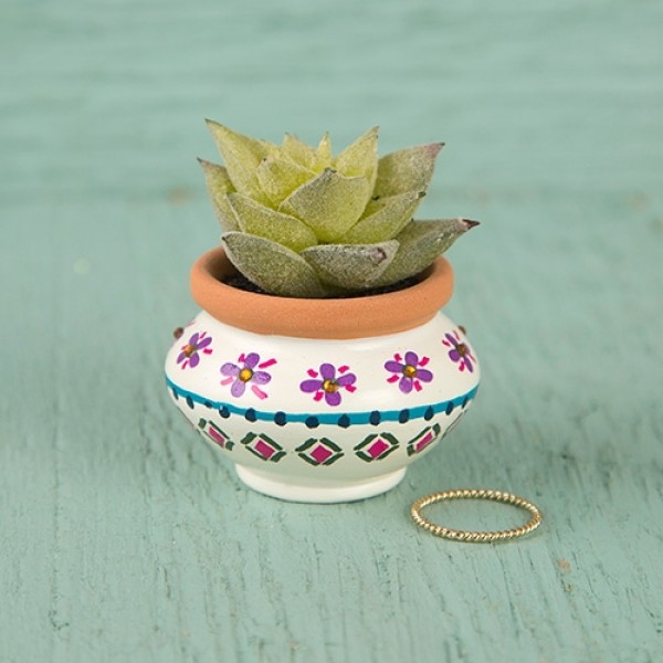 Succulent Cream and Navy