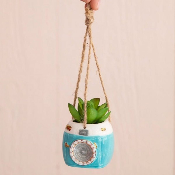 Hängende Mini Sukkulente Aqua Camera